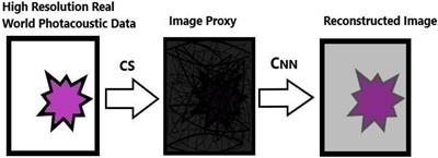 A Deep Learning Approach for the Photoacoustic Tomography Recovery From Undersampled Measurements